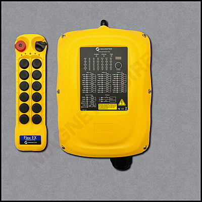 Flex 12EX2 System - 1TX, 1RX - Standard 115VAC