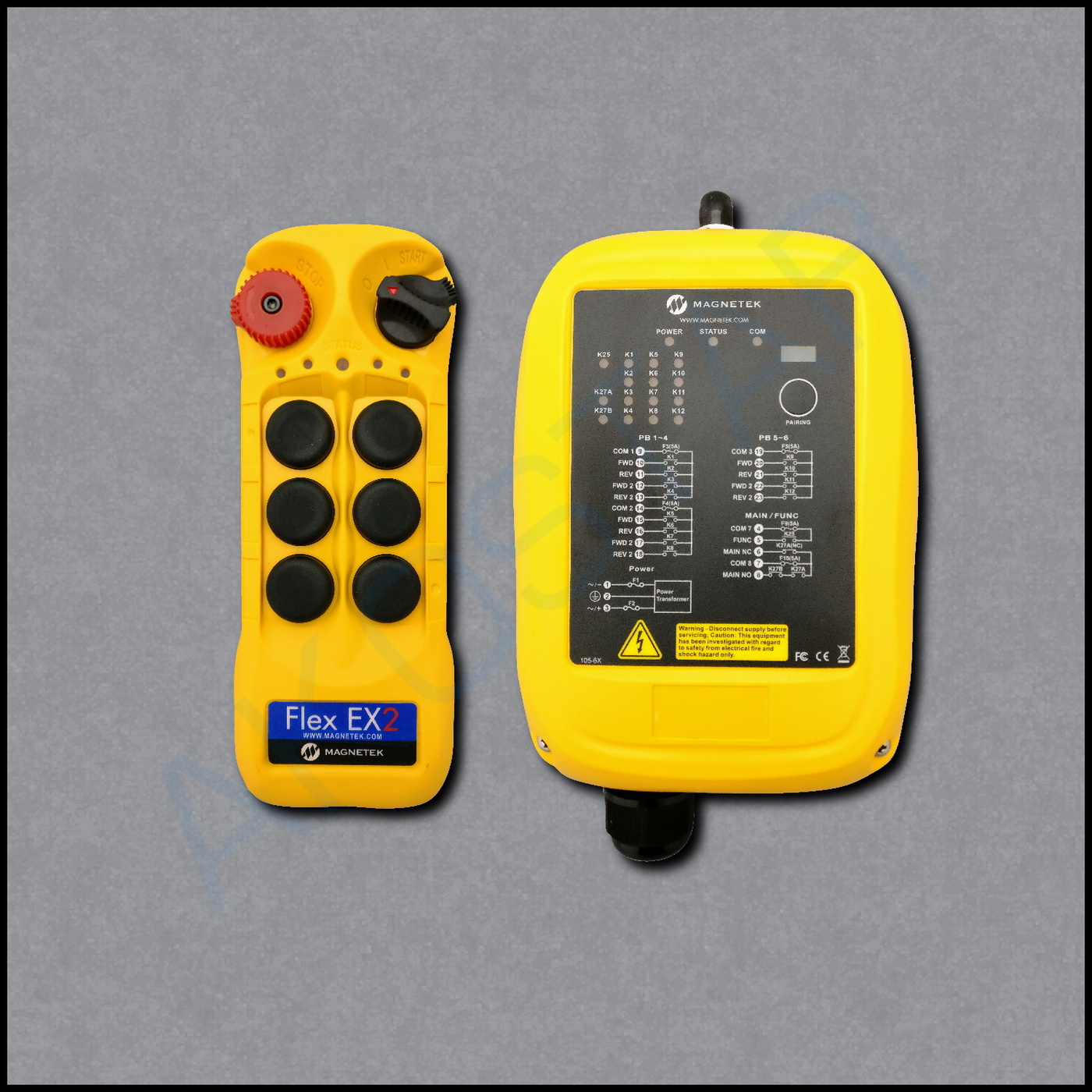 Delphi 6ex Flex 6EX2 System - 1TX, 1RX - 115VAC