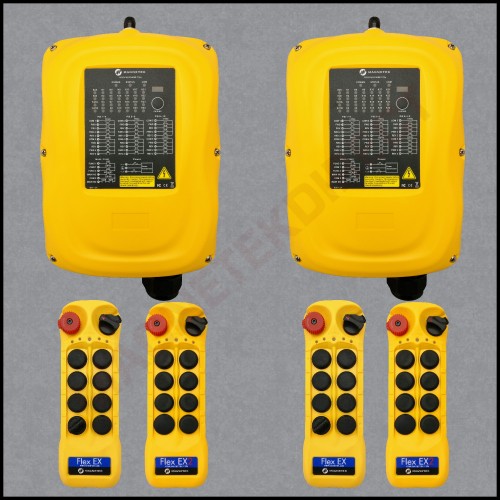 Flex 12EX2 Tandem System Self-Configuration