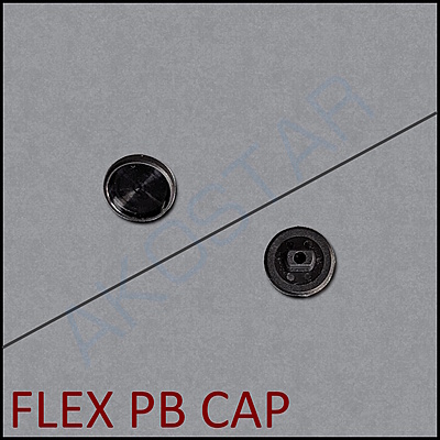 EX-PB-CAP